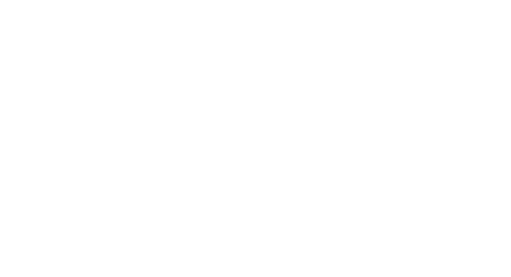 Misión Sur